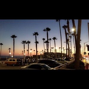 Meet your Posher, Callie